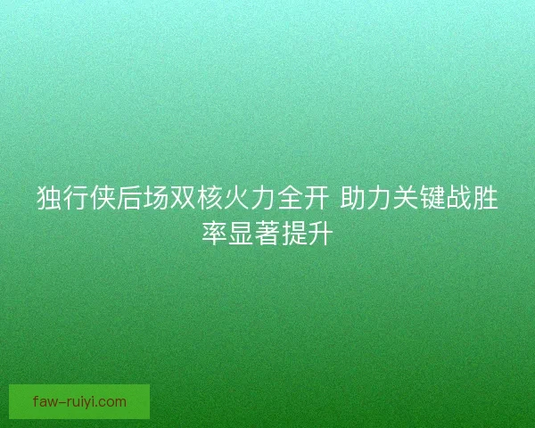 独行侠后场双核火力全开 助力关键战胜率显著提升