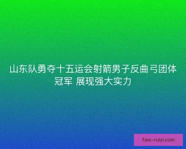 山东队勇夺十五运会射箭男子反曲弓团体冠军 展现强大实力